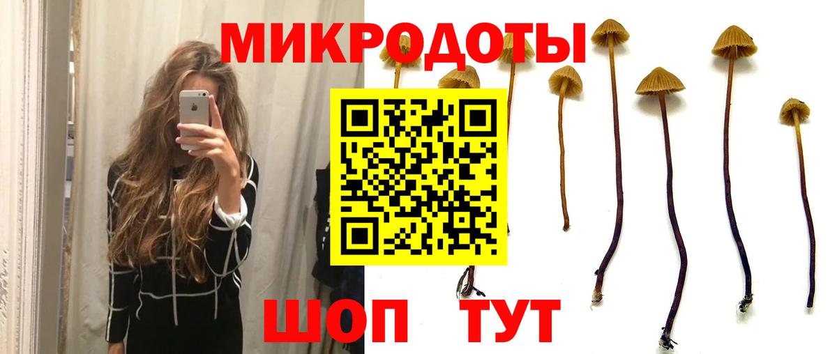 Острогожск  Псилоцибиновые грибы MAGIC MUSHROOMS  сколько стоит  Вход с VPN 